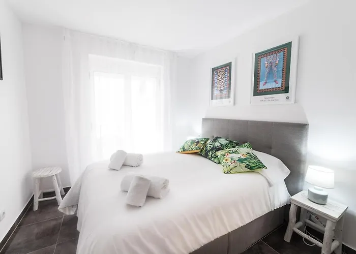 Moonkey - Casa Toledo *